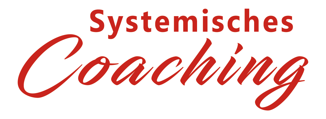 Systemisches Coaching Schwerin Logo